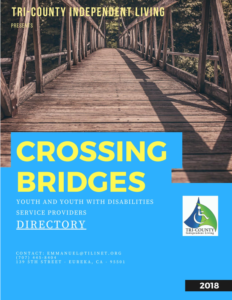 TCIL Crossing Bridges – 2019 Directory